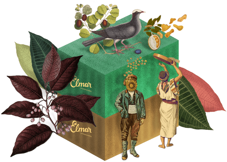 Colagem Elmar: saca verde com trigo, cacau e figuras